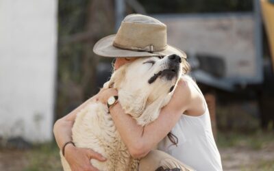 A Importância de Adotar: Amor Que Transforma Vidas