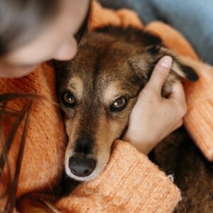 Assoxiação Anjos com Patinhas